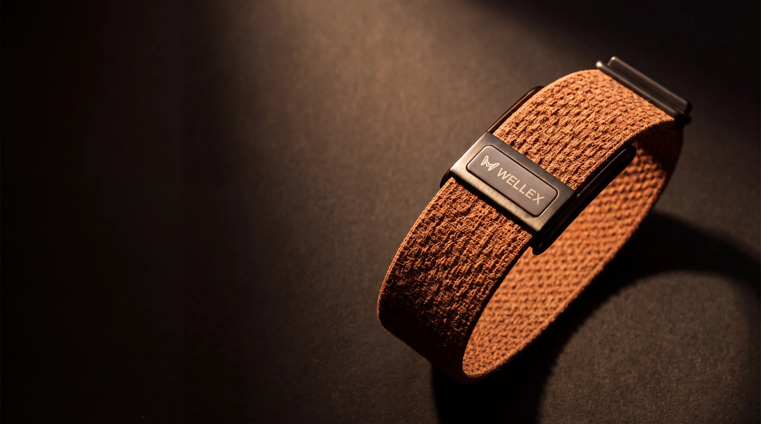 The Wellex band alone under a single warm light